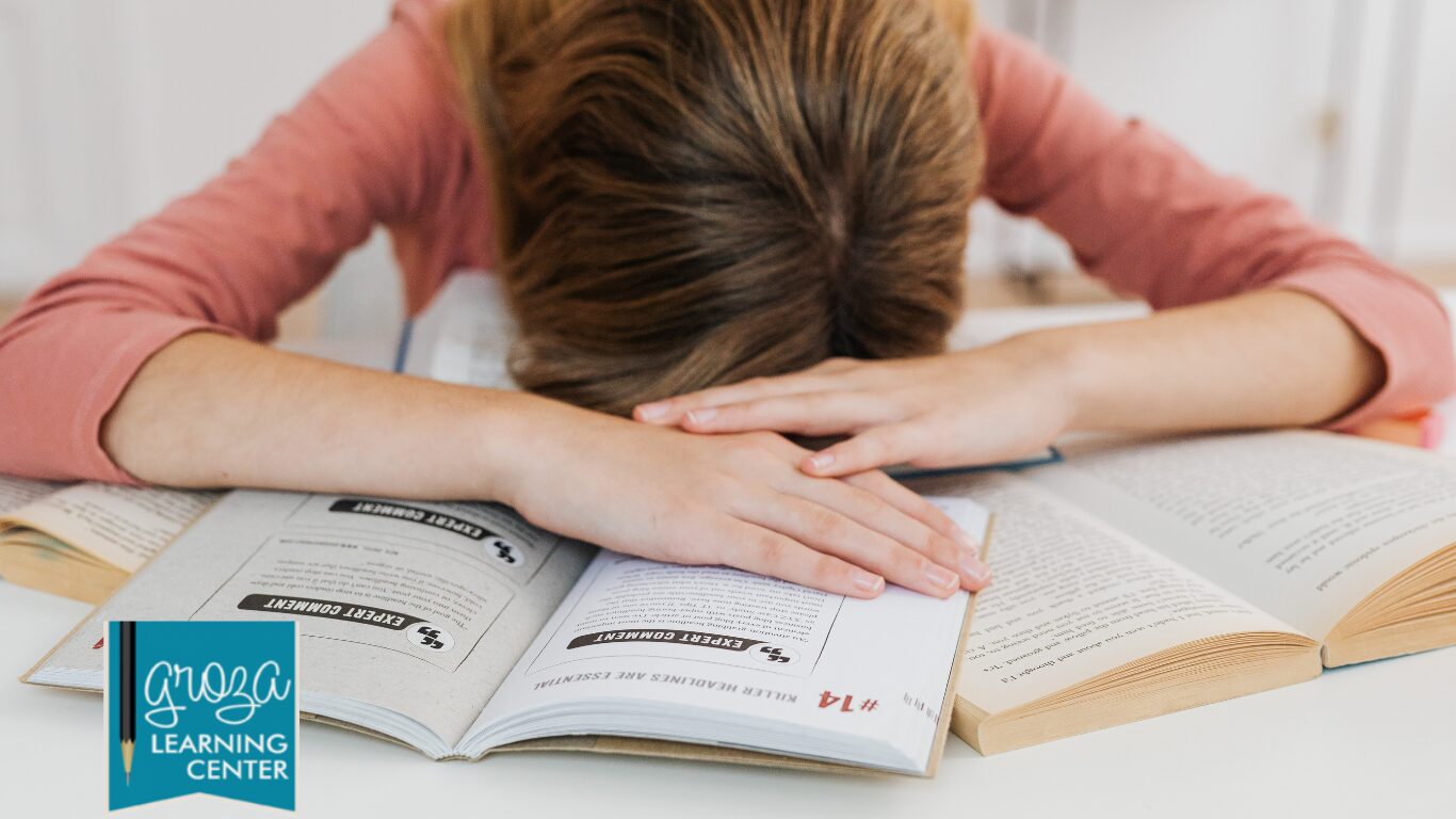student executive functioning challenges